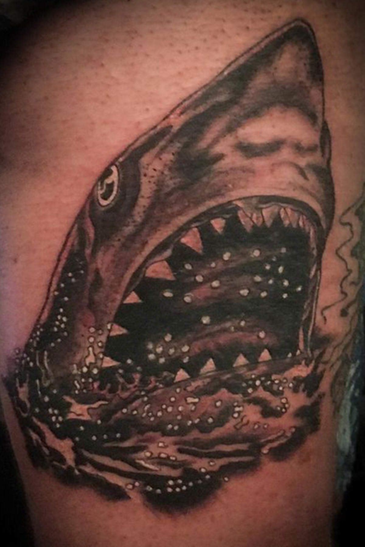 Traditional tattoo piece by Camelot Rose