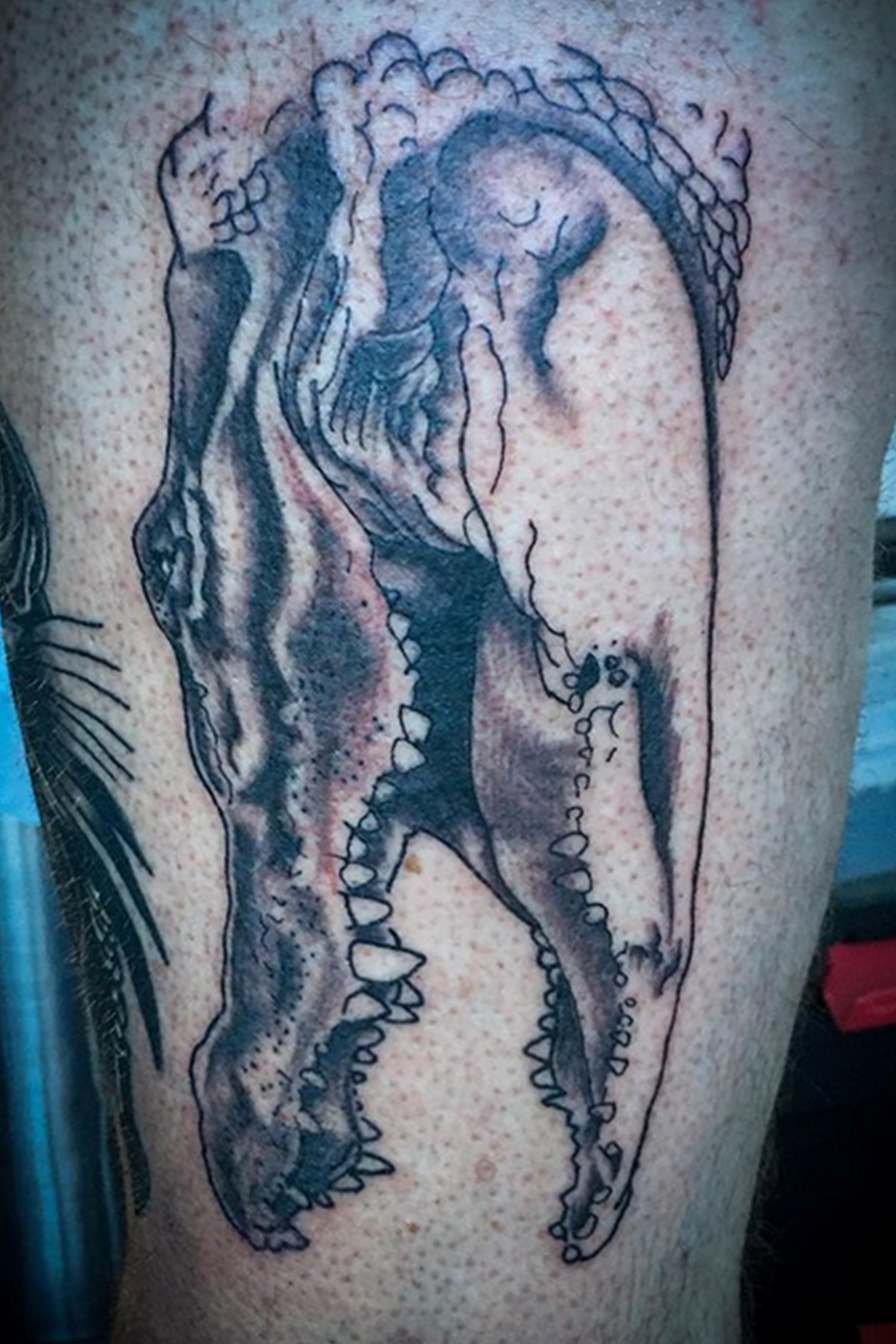 Traditional tattoo piece by Camelot Rose